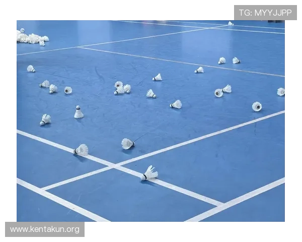 加入球友会官网羽毛球加盟项目的五大理由让你的羽毛球事业更上一层楼