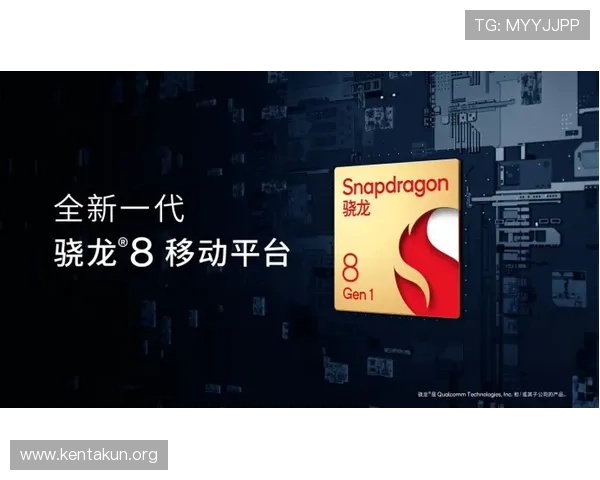 球友会平台助力玩家建立稳定的游戏社交圈，提升团队合作与竞技水平