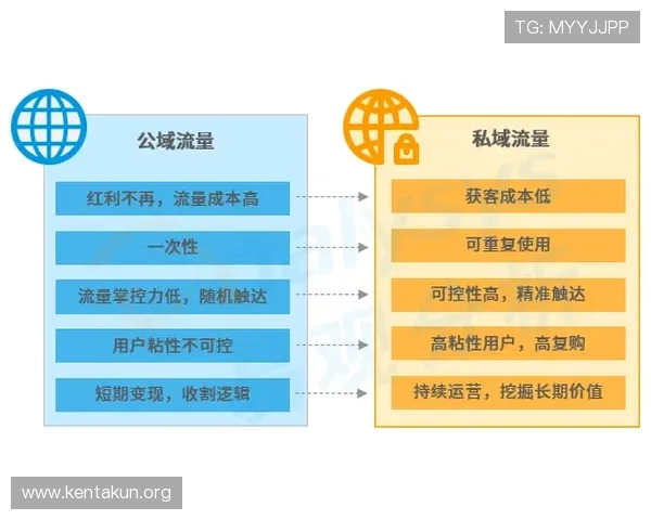 球友会网页版的推广策略与用户增长分析助力平台持续扩大影响力